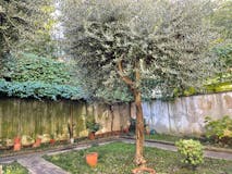 Two-bedroom Apartment of 85m² in Via Maffei 68